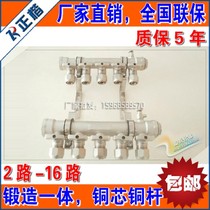 Warm pure copper bracket water separator can be heated for five years
