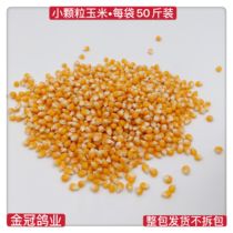 Special boutique small particle corn small gold yellow bird food ornamental Pigeon Pigeon Pigeon Pigeon parrot rat food National