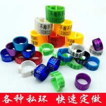 Quick custom pigeon private ring Custom carrier pigeon foot ring open foot ring Pigeon foot ring Identification ring Snap ring Pigeon equipment