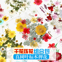 Pressed Flower Dried Flower Bag Dried Flower Flower Combination Bag Real Flower Embossing Material Bag Petal Decoration
