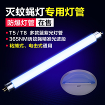 Mosquito extinguishing lamp tube sticky fly extinguishing lamp special tube lure mosquito fly light tube purple blue light T5-6W8W fly extinguishing lamp tube