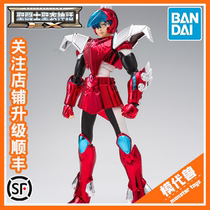  Bandai Saint clothing myth Steel Saint fighter Toucan seat Tianzhixiang reborn version