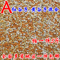 Red millet yellow millet millet millet green bird tiger skin peony parrot bird food bird food feed 5kg
