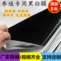 Imported breeding greenhouses PE black and white film thickened heat insulation film cooling reflective sunscreen edible fungus plastic film anti-aging