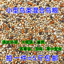 Colorful Wenniao Furong bird Canary bird Pearl bird Hibiscus bird Eating mixed bird food bird food feed