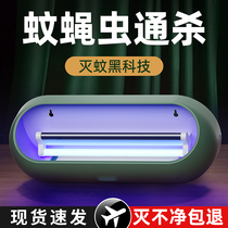 Mosquito Eradication Lantern Restaurant Hotel With Sticky-Kitchen Wall-mounted Trap of Fly Lamp Shops with hanging wall Insect Killer