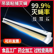Fly extinguishing lamp commercial restaurant with fly silent non-radiation food factory hotel shop sticky mosquito extinguishing lamp