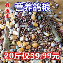 20 catties of pigeon grain with corn pigeon grain nutrition pigeon food Racing feed bird food Pigeon Pigeon ornamental pigeon grain