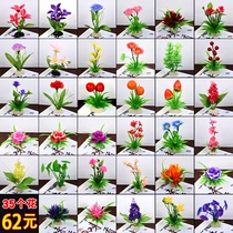 Cold dishes sassy set plate decoration flowers and plants hotel Western food plate artifact creative environment dish embellishment plate decoration small ornaments