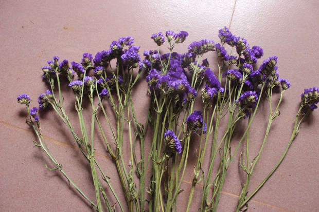 柴鸥又一个wordpress站点