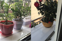 Anti-theft Net window sill pad PP plastic balcony flower pot fence windshield waterproof sunscreen food grade rubber pad