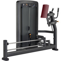 Original American Lijian LIFEFITNESS Brand Insignia Series Gluteus Trainer SSGL