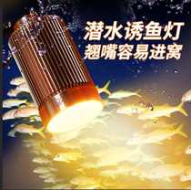 Eagle Rui underwater fishing lamp new yellow light raft fishing lamp underwater water dual-use fishing lamp magnet fishing lamp