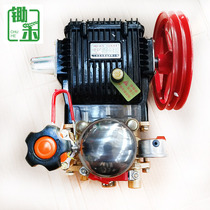 Agricultural spraying special gasoline pump Large flow self-priming pump High pressure pump pump irrigation pump
