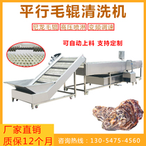  Stainless steel hair roller oyster cleaning machine Parallel brush cleaning equipment High pressure spray effect is good oyster cleaning machine