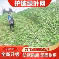 Simulation Leaves Mountain Greening Net Mine Green Leaf Barbed Wire Slope Protective Net Green Mesh Covered Glue Grid Mesh
