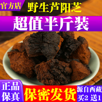 Luyangzhi Tibet wild Luyangzhi 250g blockbusters (buy 2 get 1) Official website Shan Lu Yangzhi