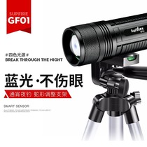 1012 God Fire Fishing Light Night Fishing Blue Light Four Light Source Lute Fish Super Bright Laser Gun High Power Purple Light Flashlight