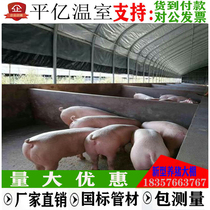 Farming greenhouse steel pipe skeleton elliptical pipe steel frame greenhouse greenhouse pig raising sheep raising chicken farm chicken shed full set