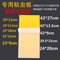 Anti-fly lamp mosquito home sticky fly plate flying moth sticking mosquito mosquito killer mosquito special mosquito killer paper 10 sheets of sticky paper flying insects