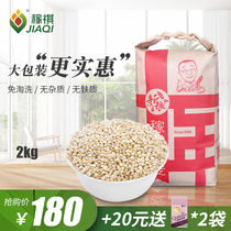Jiaqi Selected Gumu White Quinoa Mili Mai Qinghai Plateau Quinoa First Grade Specialty Baby Supplement Baby Congee