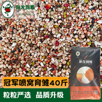 The Lord Dragon Dove Grain Champion Spray Cohort Breeding of the Pigeon Sense Pigeon Pea Bird Food Feed Jiang Zhejiang 7-40 Jin