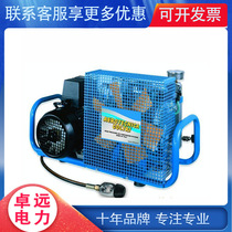  High pressure air compressor MCH6 air respirator Air pump High pressure air pump respirator air pump