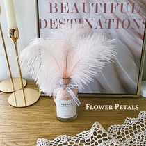 ins light pink ostrich feather jewelry DIY flower accessories Eternal Flower home decoration vase photo props