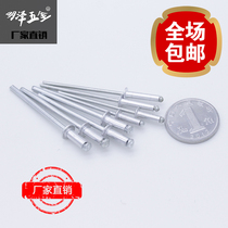 2 4m 3 2m nameplate small aluminum extraction core rivet Rivet Aluminum Pull Nail Manufacturer Direct 