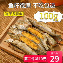Spring fish freeze-dried full seeds with seeds small fish dried pets into kittens nutrition calcium-free cat snacks