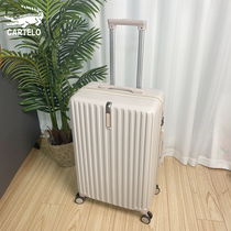 Suitcase woman 20 inch small den case password box universal wheel suitcase pull bar case student 26 leather case man