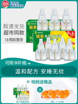 Lam chrysanthemum electric mosquito repellent liquid odorless baby pregnant women electric mosquito repellent supplement set household plug-in mosquito killer liquid