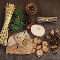 ins Retro shooting props set Food photography props Photo background posing props Forest branch pinecone