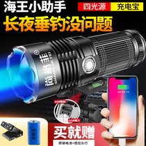 Fishing lights Night fishing lights Violet fishing high power super bright xenon lamp blue flashlight bright light four light sources