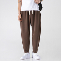 Challane mens 90% pants spring summer Korean version loose with small feet casual pants spring and autumn elastic display slim Harun pants tide