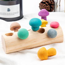 Baby Mon early teaching Puzzle Picking Mushroom Toys Children Thinking Special training teaching aids Wooden Shape Pairing