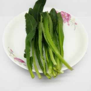 越南香菜新鲜元西500g芫荽鹅芥菜大野假刺芫莤 mui tau 调味香料