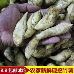 农家特产新鲜竹芋竹薯冬薯冬笋苓薯节薯现挖现卖包邮汤料