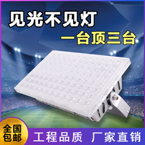 Explosion LED outdoor lighting courtyard proof lamp super-bright waterproof advertising sign outdoor spotlight colored ant lamp