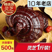 12-year Tmall] Ganoderma lucidum 500g Linzhi pruning whole non-Ganoderma lucidum non-wild can be powder by yourself