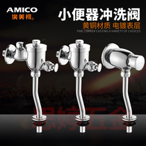 Emeko urine Flushing Valve Full copper delay buffer automatic closing 4 points Service area hotel engineering toilet stool valve