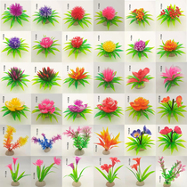 Hotel restaurant plate flower and grass creative plate decoration flower decoration around the edge decoration cold dish head around the edge decoration small ornaments