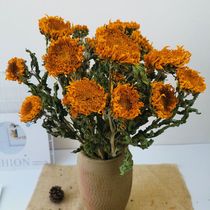 Yunnan dried flower double sunflower real flower dried bouquet Nordic cafe home decoration flower arrangement shooting props
