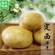 Hubei Enshi farmers self-growing small potatoes fresh vegetables alpine Marco yellow skin heart potatoes 10 kg of potatoes