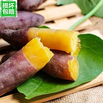 Small mini goldfinger 5 kg Linan Tianmushan small fragrant potato potato Sweet potato Fresh chestnut sweet potato Sweet potato