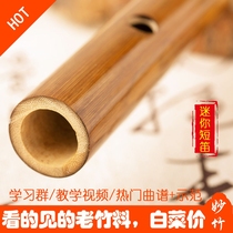 Mini Flute Plain Flute Section Piccolo Adult Children Beginner Beginner flute Student Male Female Bamboo flute 