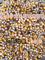 20kg of corn pigeon food flying nutrition feed bird food pigeon ornamental pigeon pigeon pigeon pigeon food pigeon food