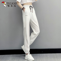 Woodpecker Outdoor Ice Silk Speed Dry Pants Women 2022 Summer New Casual Long Pants Elastic Breathable Quick Dry Pants Boom