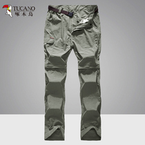 Woodpecker outdoor quick-drying pants mens sports elastic thin detachable two-piece pants quick-drying large size mountaineering trousers
