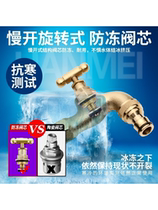 Copper lock garden outdoor courtyard faucet new anti-freeze slow billing winter winter retro tap water
